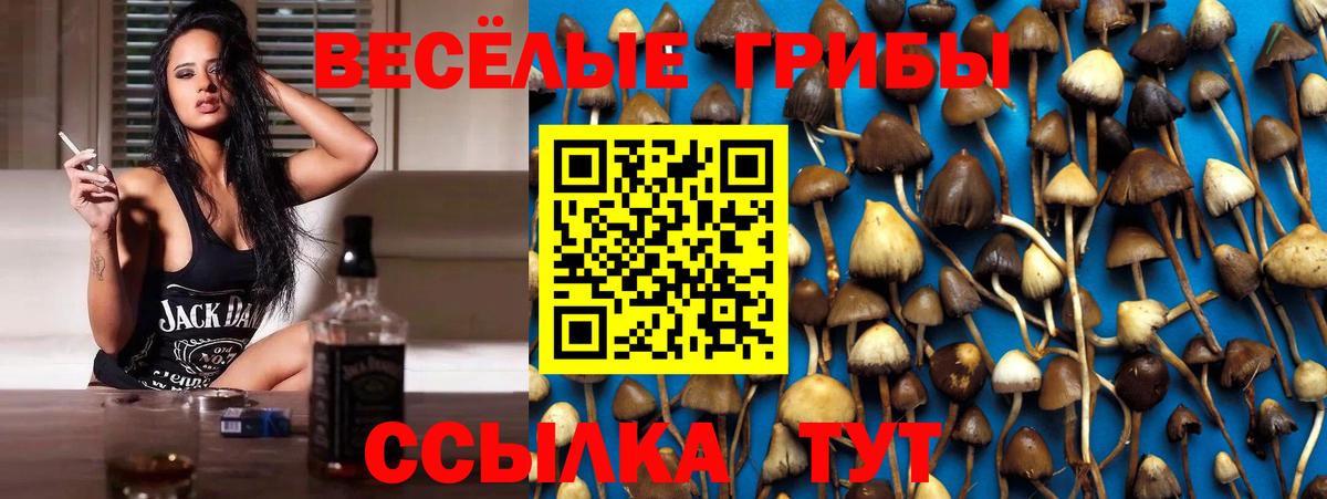 Галлюциногенные грибы Psilocybine cubensis Острогожск